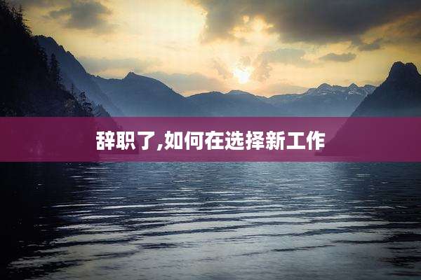辞职了,如何在选择新工作