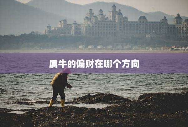 属牛的偏财在哪个方向