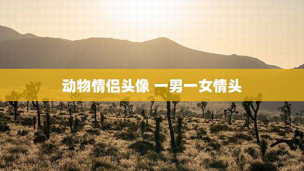 动物情侣头像 一男一女情头
