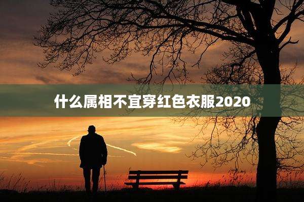 什么属相不宜穿红色衣服2020