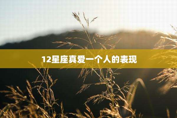 12星座真爱一个人的表现