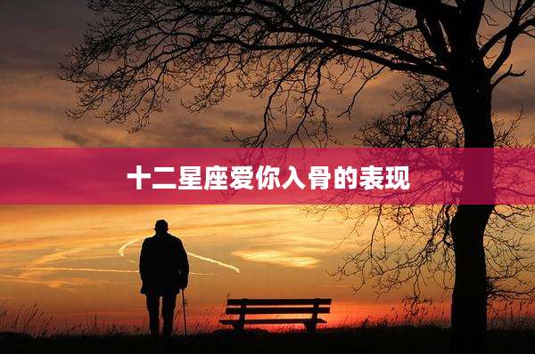 十二星座爱你入骨的表现