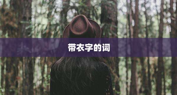 带衣字的词