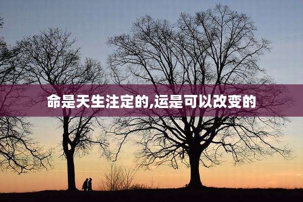 命是天生注定的,运是可以改变的
