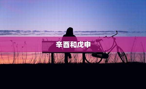 辛酉和戊申