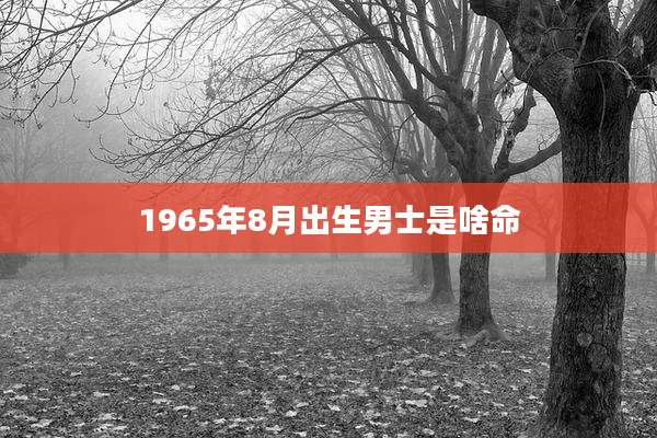1965年8月出生男士是啥命