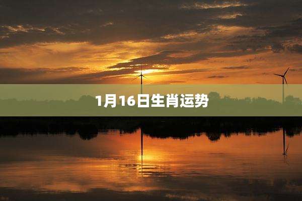 1月16日生肖运势