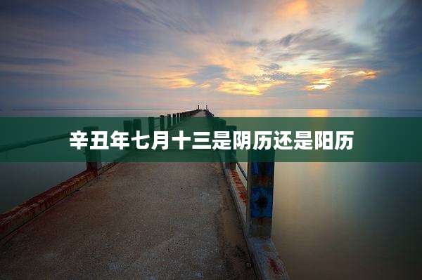 辛丑年七月十三是阴历还是阳历