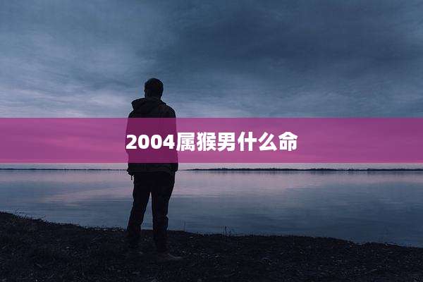 2004属猴男什么命