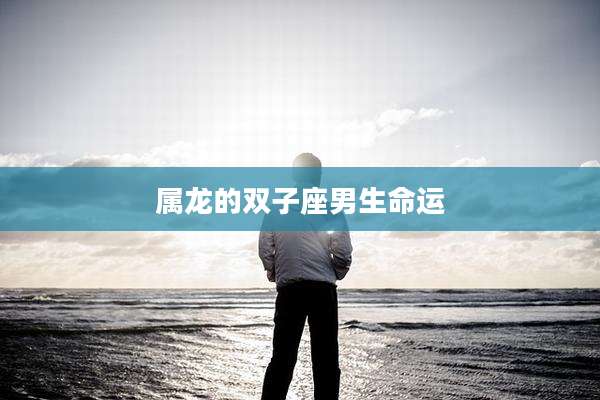 属龙的双子座男生命运