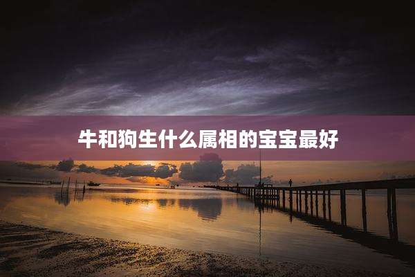 牛和狗生什么属相的宝宝最好
