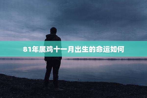 81年属鸡十一月出生的命运如何