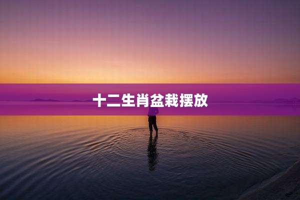 十二生肖盆栽摆放