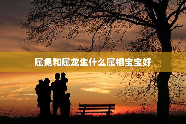 属兔和属龙生什么属相宝宝好
