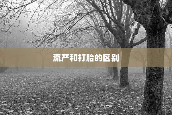 流产和打胎的区别