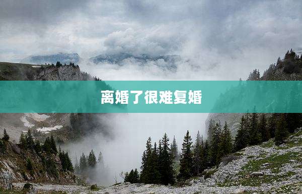 离婚了很难复婚