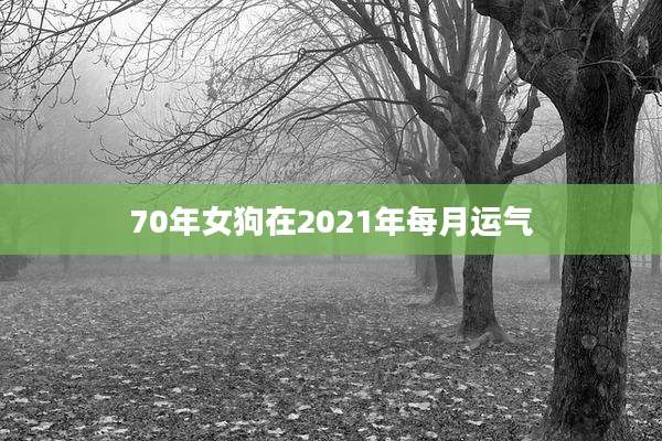 70年女狗在2021年每月运气