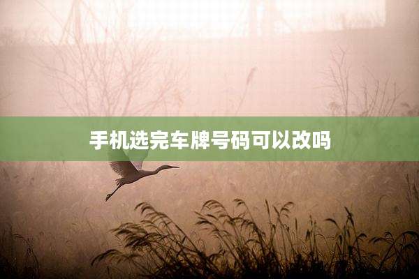 手机选完车牌号码可以改吗