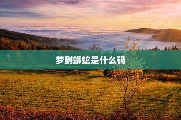 梦到蟒蛇是什么码