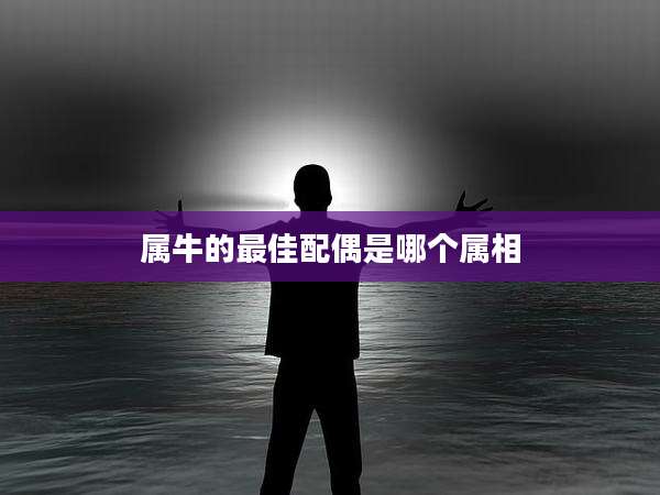 属牛的最佳配偶是哪个属相