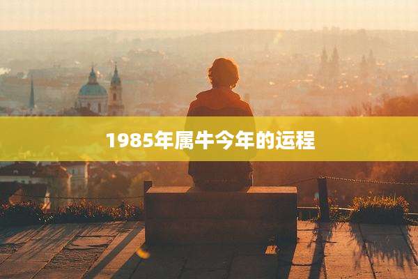 1985年属牛今年的运程