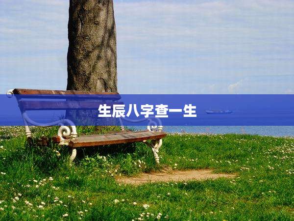 生辰八字查一生