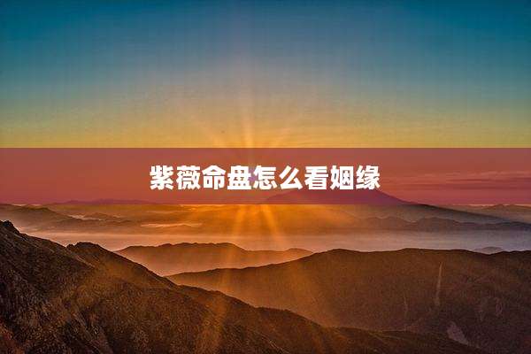 紫薇命盘怎么看姻缘