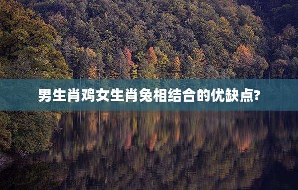 男生肖鸡女生肖兔相结合的优缺点?