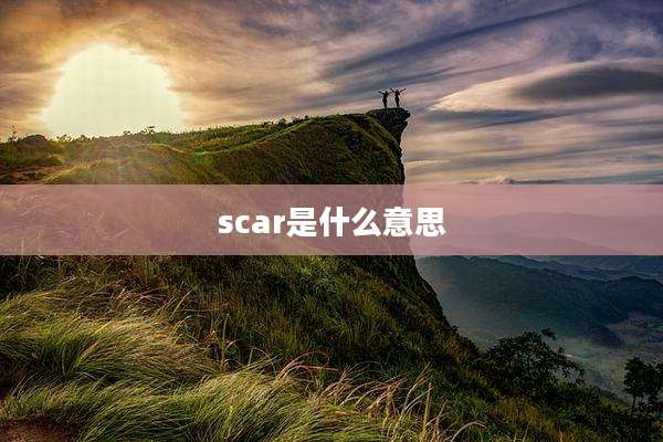 scar是什么意思
