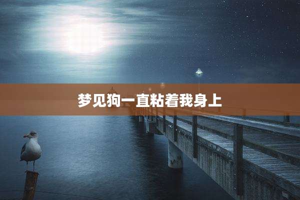 梦见狗一直粘着我身上