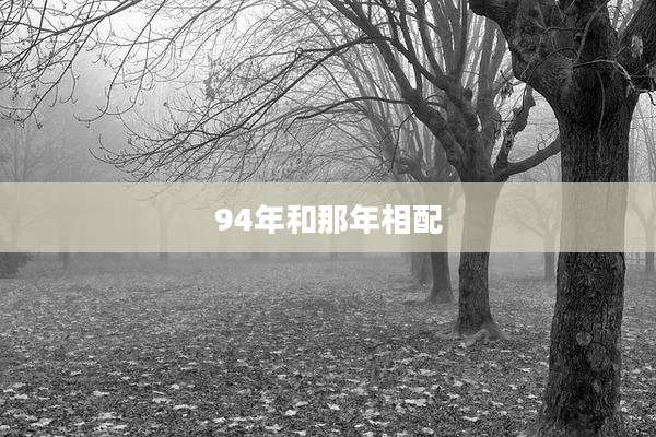 94年和那年相配