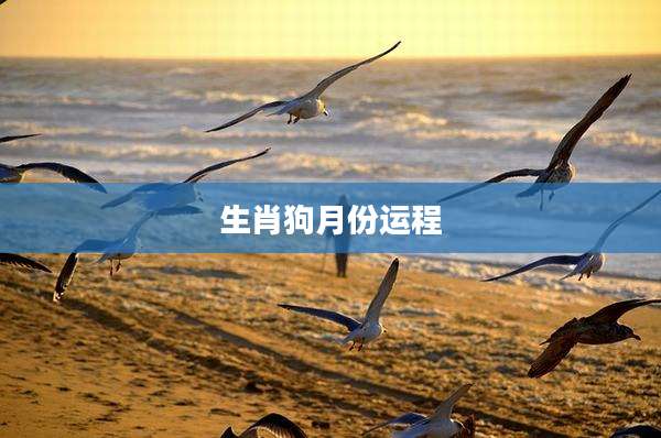 生肖狗月份运程