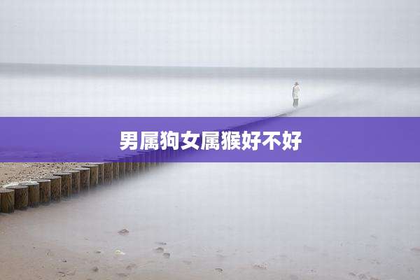 男属狗女属猴好不好