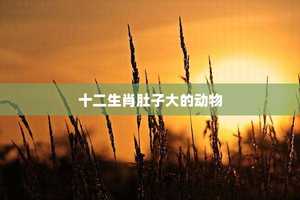 十二生肖肚子大的动物