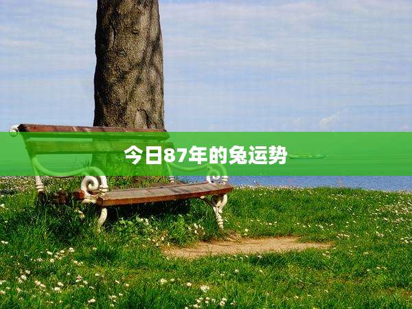 今日87年的兔运势