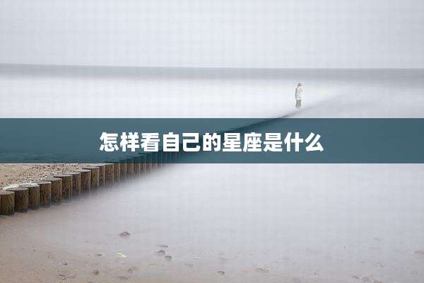 怎样看自己的星座是什么