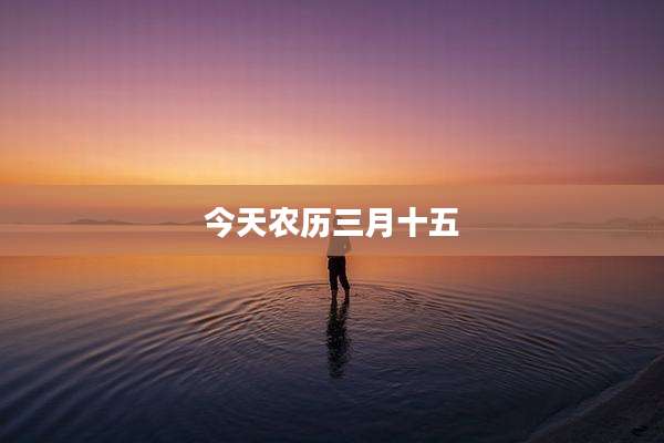 今天农历三月十五