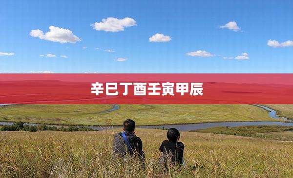 辛巳丁酉壬寅甲辰