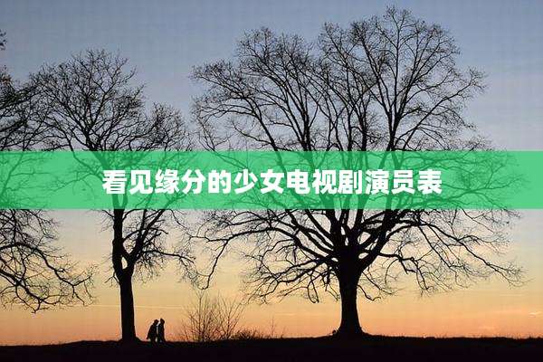 看见缘分的少女电视剧演员表