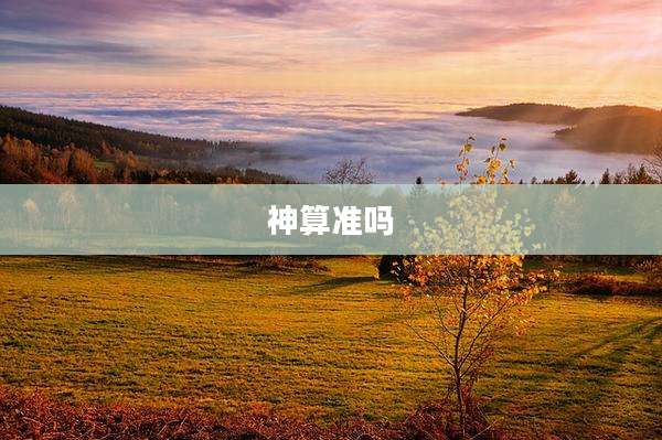 神算准吗