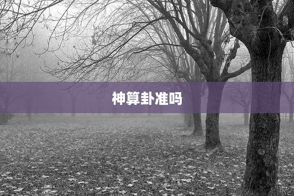 神算卦准吗