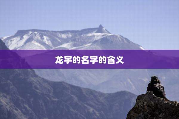龙宇的名字的含义