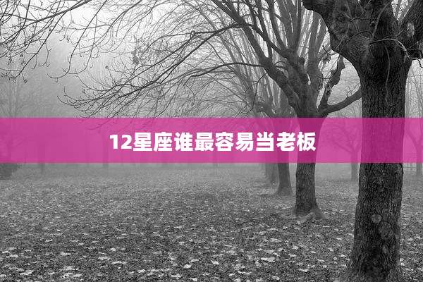 12星座谁最容易当老板
