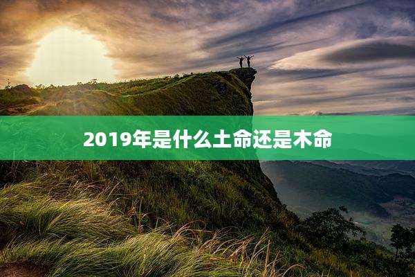 2019年是什么土命还是木命