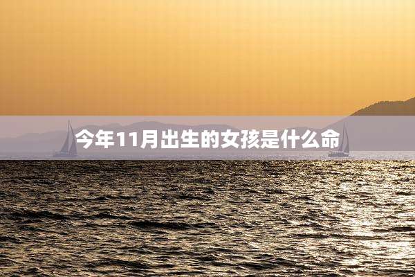 今年11月出生的女孩是什么命