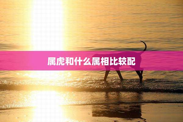 属虎和什么属相比较配