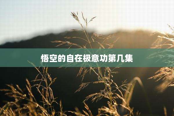 悟空的自在极意功第几集