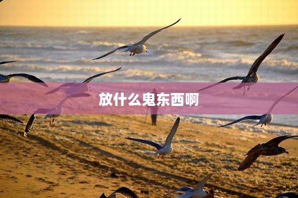 放什么鬼东西啊
