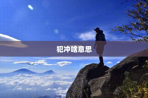 犯冲啥意思