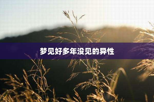 梦见好多年没见的异性